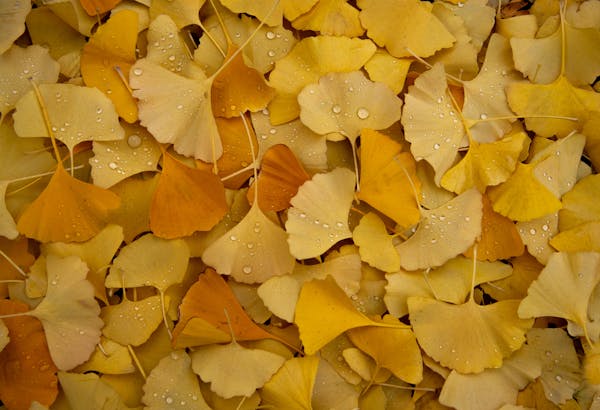 一次性與復用醫療用品的廢物產生量對比