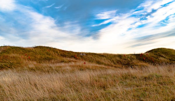 如何判斷產品是否屬于醫療器械及醫療器械的劃分定義