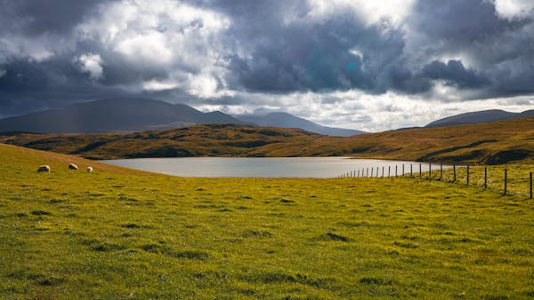 從全球視野看手術(shù)套件：國際合作與競爭的新格局